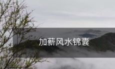 提高工资的风水技巧及建议:如何利用风水之力来获取更多的薪资提升?