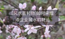 通过选择适宜的风水吉利物，如何增强企业风水的财运能力？
