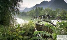 如何在家里养多条鱼以增加财运:选择何处放置鱼缸才能激发财运?