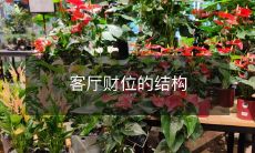 客厅财位的结构及其对财富运势的影响分析