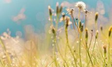 与凶位仔细分析:6月份的家居风水方位在哪里呢?优选吉位避凶,确保生活平安!