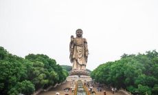 揭秘后颈发根上的发旋命理:多种旋转数量的含义解析