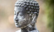 有哪些特征能让女人长得像佛像？