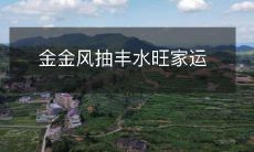 金金风祈愿丰盈水旺,引领家运蒸蒸日上