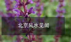 探秘北京的神秘风水之谜:漫步历史文化中心,发现城市布局与自然环境相互融合的精妙之处