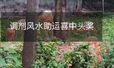 调整风水布局以助运,终获幸运大奖