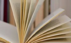 什么是浓眉之男的象征意义？