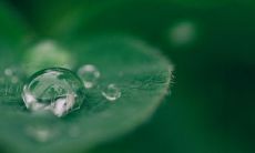 具有深厚善根的人的表现和面相特征有哪些？