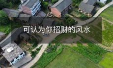 坐向、颜色、布局及装饰等多层面解析,助你打造旺财势场景的风水指南