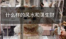 哪些风水布局会给人带来经济财富和好运?