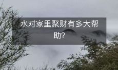 蕴含着哪些元素的水能够在家中发挥财富聚集的作用？