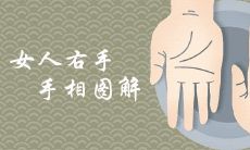 女性右手手相解析:破译享福命特征,完整详尽的手相图解大全!