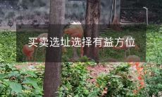 在购买或出售财产时如何选择有利的选址位置?