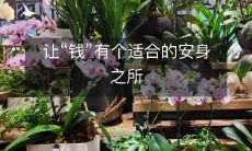 打造一个像家一样舒适的“钱”的安身之所