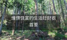 追求富足生活,崇尚财富乃至物质奢华,成为确保财富流动、生活愉悦,甚至达到自我实现的重要前提