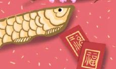 探讨命运学的基本概念和要点(第一部分)