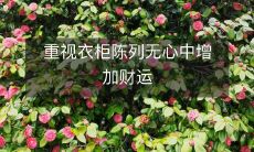 如何通过重视衣柜的陈列来无意间增加财运？