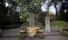 眉上长毫到底是必死的命运吗?还是有时候它能成为一种好事?