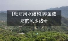 探究旺财风水结构:养鱼催财的风水学研究