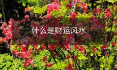 探究财运风水的定义及其对个人财运的影响