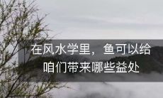 风水学中,养鱼可以带来哪些正面的影响和益处?