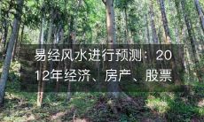 利用易经风水术来预测2012年经济、房产和股票市场的变化情况