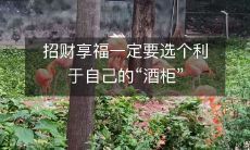 为了招财享福,选用适合自己的酒柜是至关重要的决策