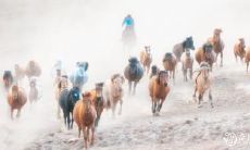 属马人在风水学中居住的最佳楼层是多少?在66年出生的属马人的情况下,哪一层楼是最适合他们的呢?