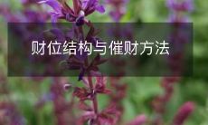 提高财运的有效手段:探讨财位结构对催财方法的影响