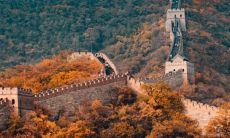 如何解读98年城墙土命？避免哪些禁忌？