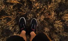 请问木克土对哪些生肖属相有利?化解其冲煞所需的吉祥物是哪些?