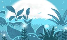 详细解析:出梅指的是什么?对此做出全面阐解