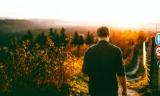 男人五行缺乏木元素如何塑造命运,缺乏木性格是否有优势?