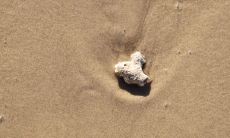 1977年的沙中土命缺少哪些元素?是否适合佩戴黄金来补足?