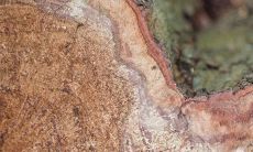 木制手串搭配玉石饰品,哪种更为适宜?