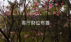 如何在客厅打造一个理财有道的最佳财位布置？