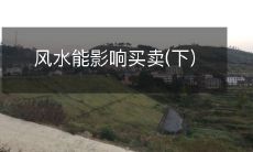 了解风水知识对于买卖有很大的影响:深入探讨风水如何影响商业交易和销售(第二部分)