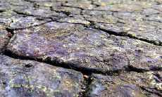 五行之中,四个象征土的元素分别代表什么意义?当土元素太旺盛时,我们应该如何进行有效的化解?