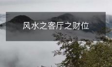客厅风水:揭秘财位如何布置,助你财源滚滚