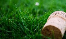 经验分享：是否真的存在“生孩子财运旺三年”这一说法？