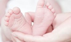 八月初二出生是否意味着命运注定艰辛?