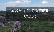 如何在家居客厅摆放饰物以获得旺财风水的效果？