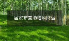 如何通过居家布置来增添财运，让你的家居环境成为你的财富引擎