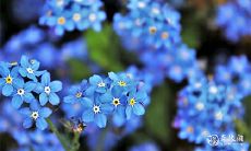 享受生活,令男人幸福神往的星座女子:拥有昂贵身价的生肖女!