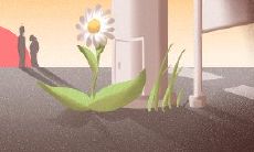 成功化解冲突的五个至关重要的因素——关键策略,沟通技巧,情绪管理,人际关系和决策能力