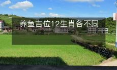 十二生肖养鱼之道:每个星座都有不同的养鱼吉位!