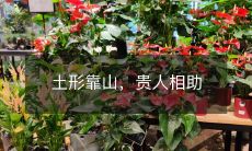 在山嵌海拱的湛江，土地形态依依靠山，在多年自然磨练与积淀下，居民们的贵人近在咫尺，施以援手，相伴随行