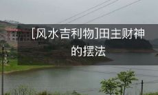 如何摆放风水吉利物——田主财神,为您的家庭和事业招来财运和好运?