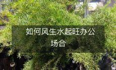 如何在办公场合中通过优秀表现获得风生水起的成功?