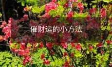 催动个人财运的简单小技巧：12种有效的方法帮您吸引财富与财源